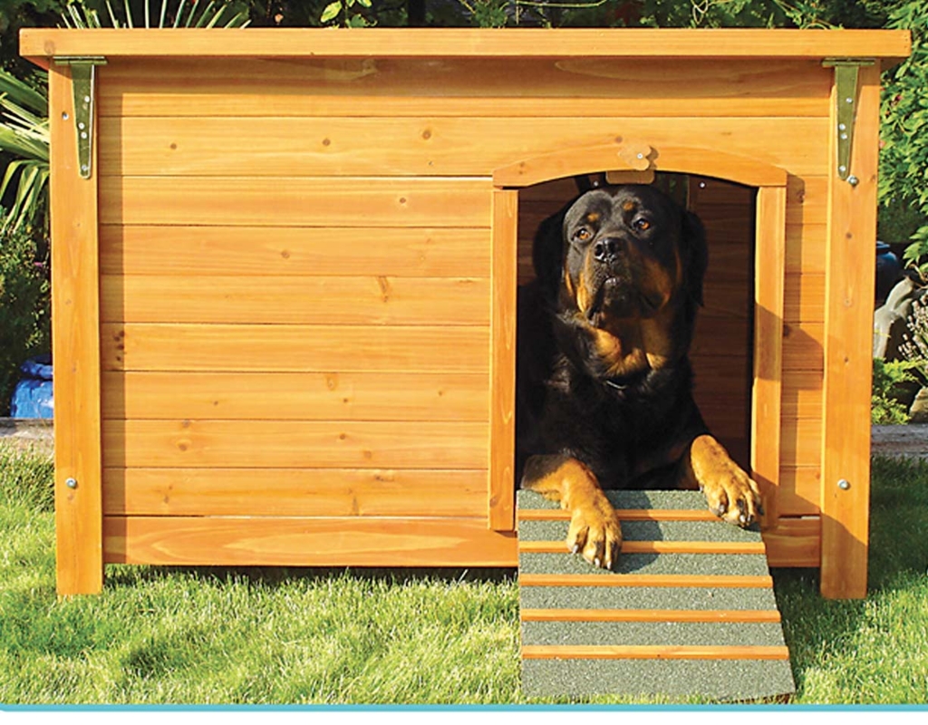 Dog House Flat Roof