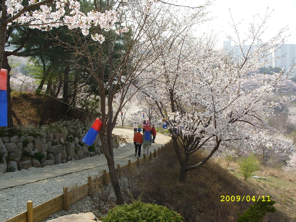 사용자 삽입 이미지