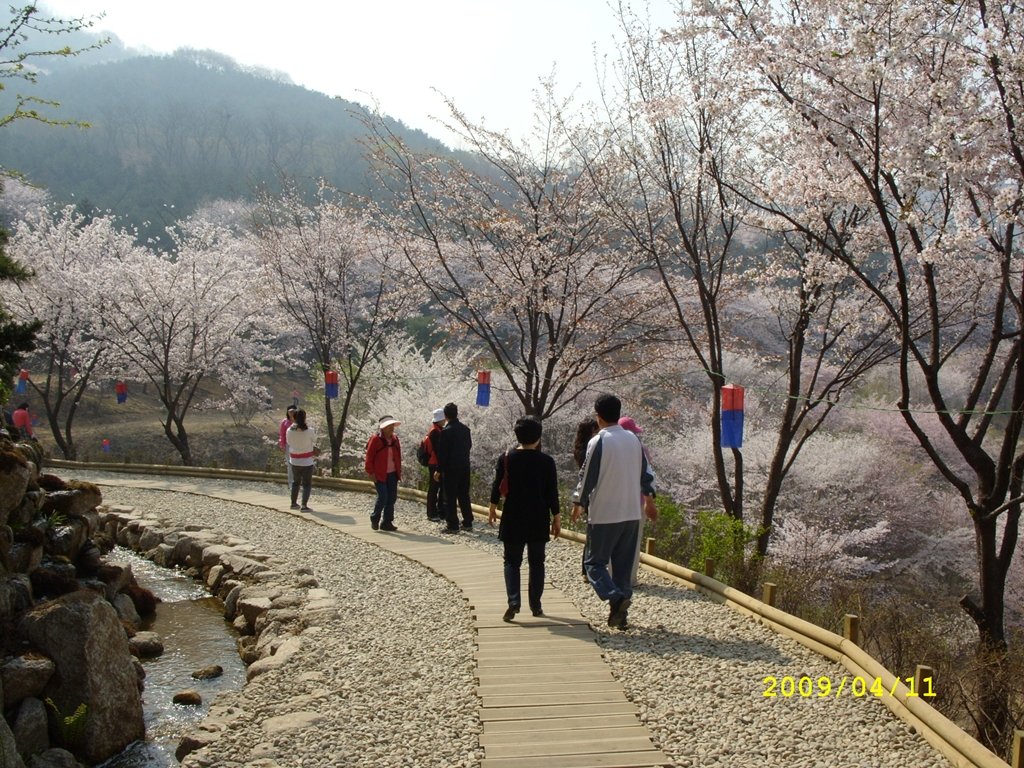 사용자 삽입 이미지